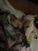 Neues Zuhause gesucht