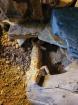Verkaufe meine Leopadegeckos